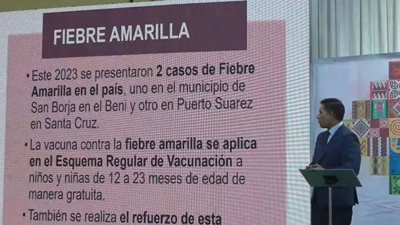 El ministro de Salud confirmó dos casos dE fiebre amarilla