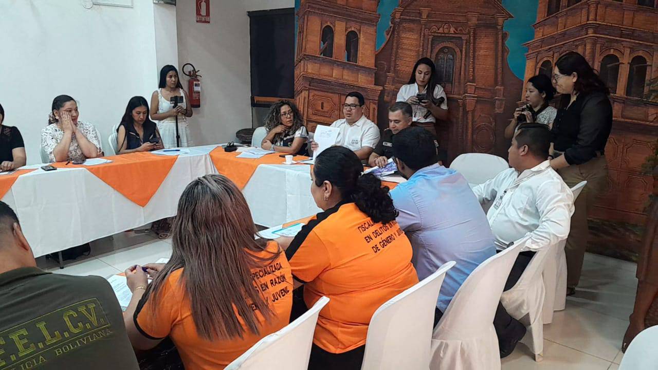 Reunión de Coordinación entre instituciones para abordar la violencia contra la mujer