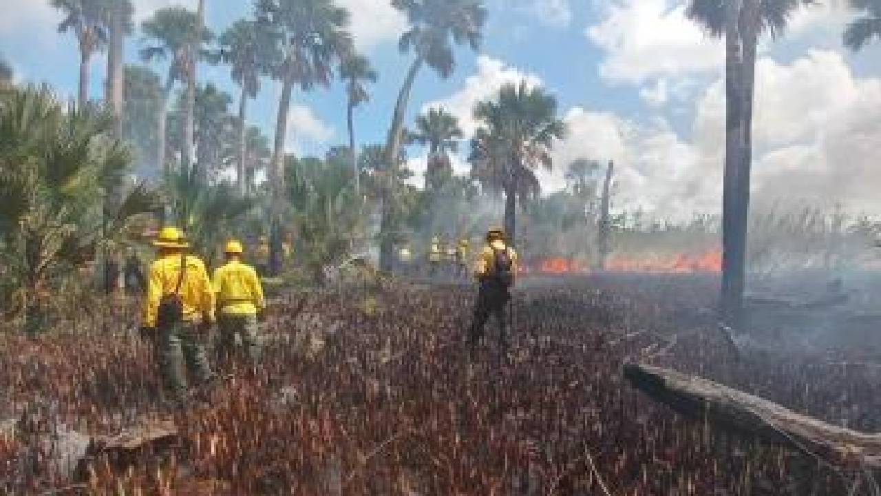 Nueve incendios forestales afectan a seis municipios en Santa Cruz