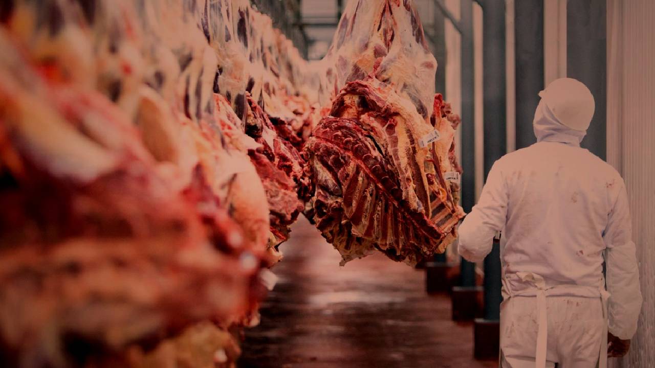 Reportan caida de precio en las exportación de carne,  productores ganaderos piden eliminar cupos