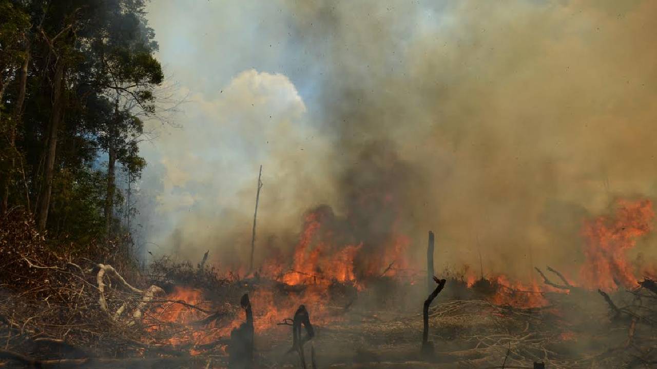 Desastre ambiental en comunidades Indígenas de Bolivia