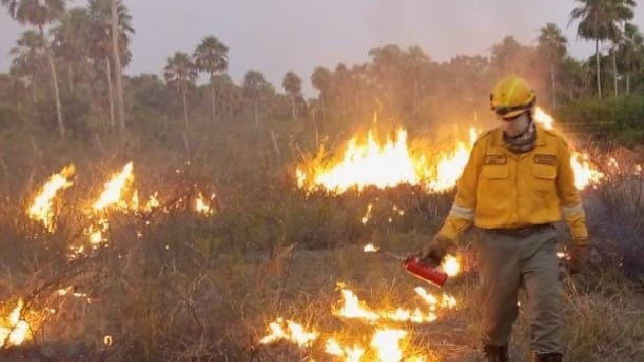Santa Cruz reporta 14 incendios forestales en ocho municipios