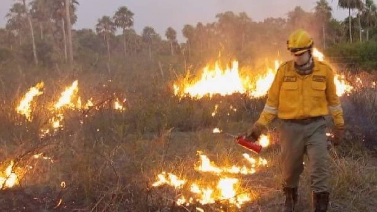 3.971 Focos de calor, 13 incendios activos y 9 son los municipios afectados en Santa Cruz por incendios