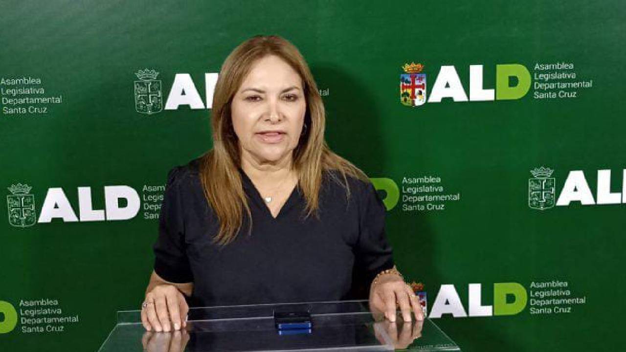 Comisión de salud de la asamblea:" Hay emergencia en los hospitales por colapso, la situación es insostenible"