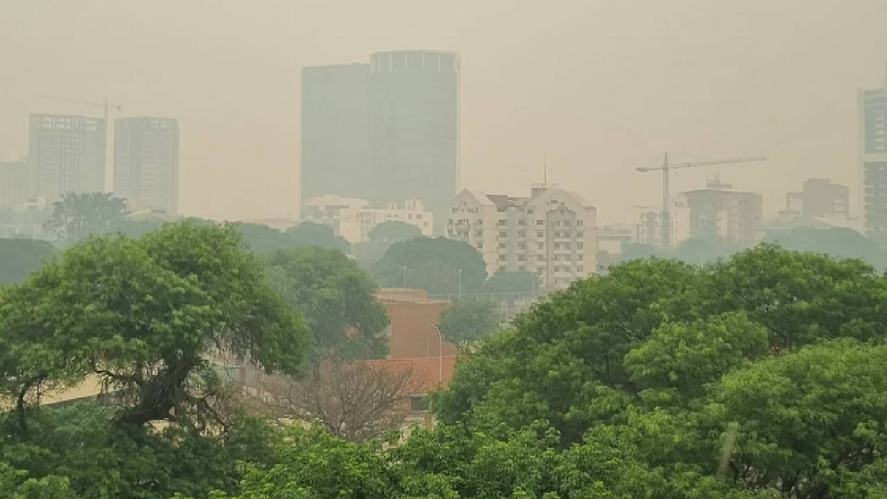 Domingo en Santa Cruz  bajo una Espesa Neblina de Humo debido a Incendios