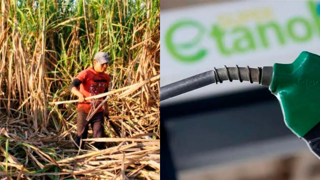 Reunión de emergencia de productores cañeros en Bolivia por el precio del etanol