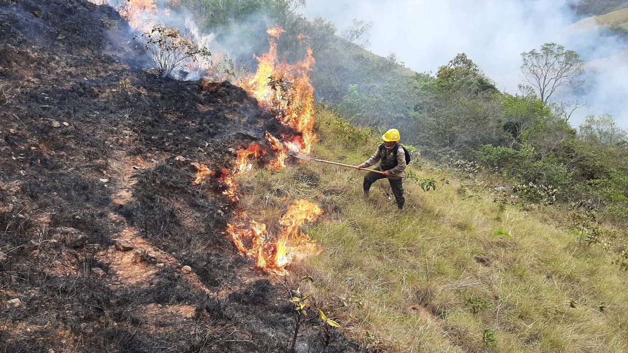 5 días sin incendios activos en santa cruz y la gobernación iniciará plan de reforestación