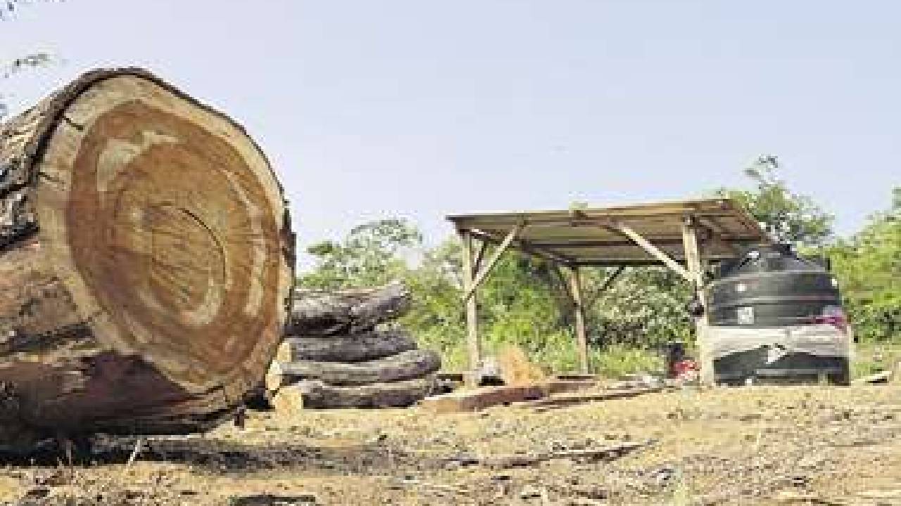 Legisladores y Ambientalistas critican la falta de desalojo de mineros por conflictos de interés en las FFAA