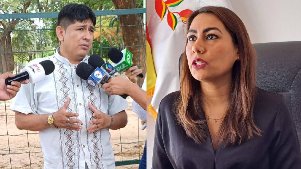 Diputados del MAS Y CC: Elecciones Judiciales 