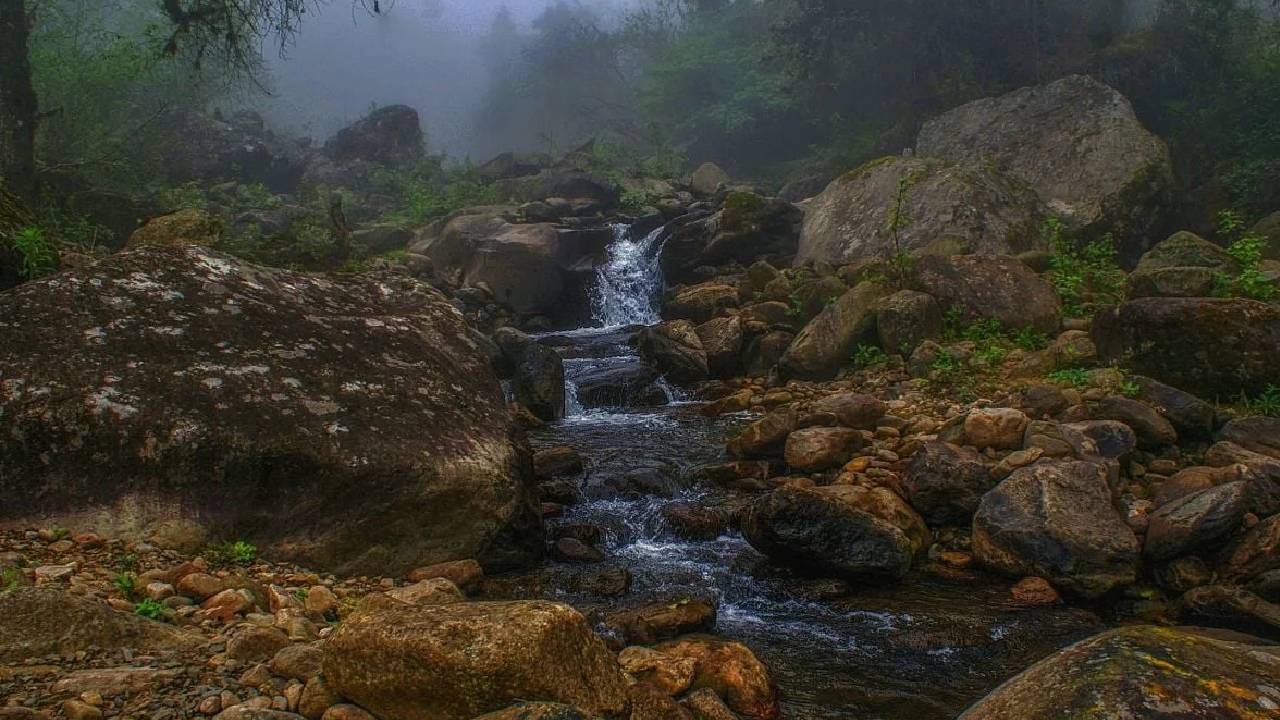 Ambientalista insta a destinar fondos para proteger la "fábrica" de agua en Tarija