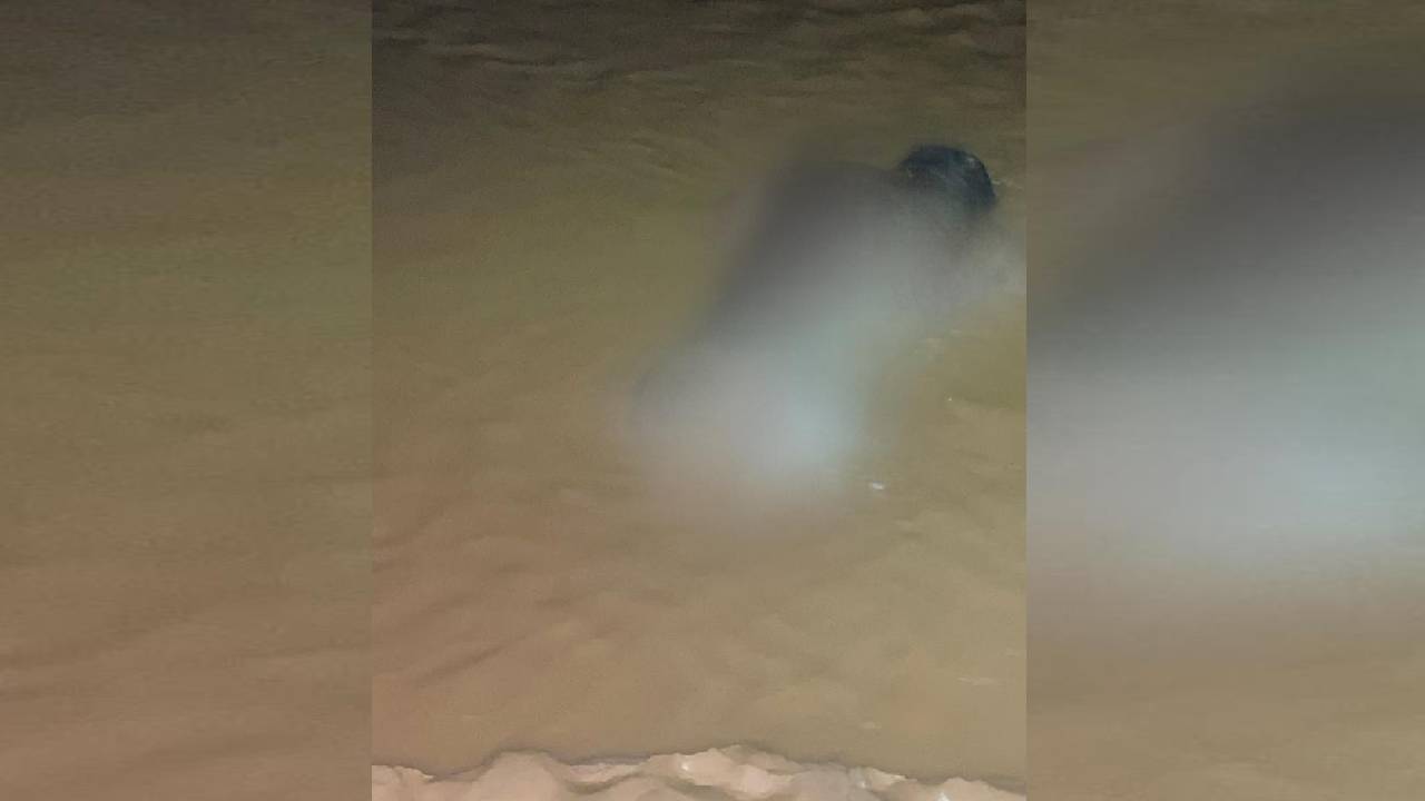 Encuentran cuerpo sin vida en el río Piraí