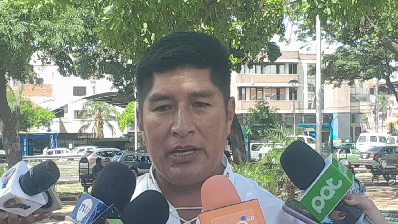 Hernán Hinojosa- Diputado MAS: Elecciones Judiciales