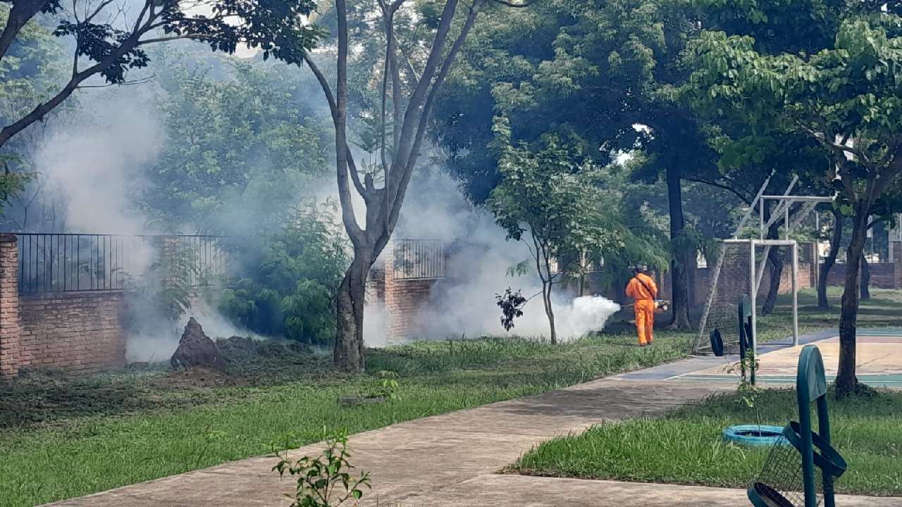 Alcaldía anuncia minga contra el dengue para este Sábado