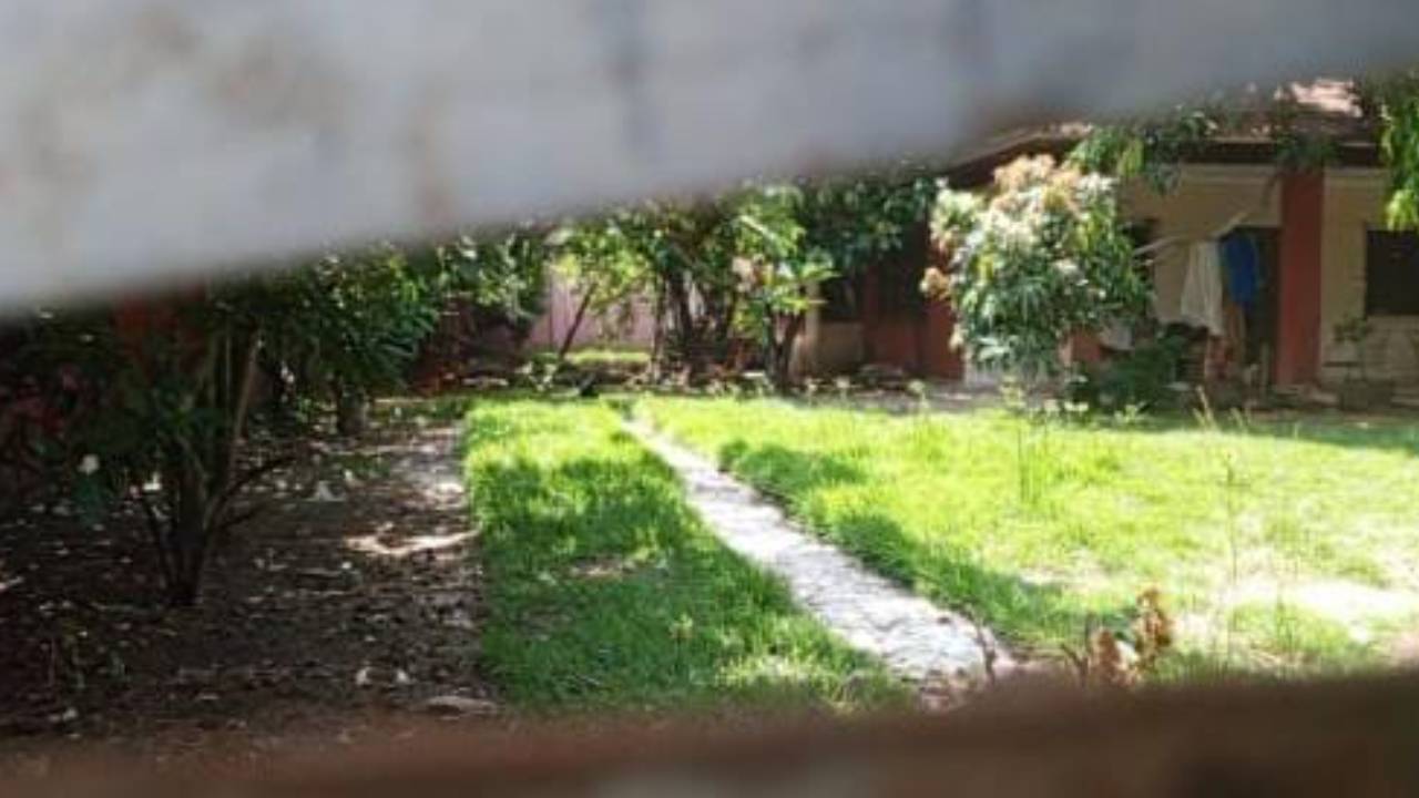  Investigación en Barrio Guadalupe  por presunta captura de gatos para alimentar perros