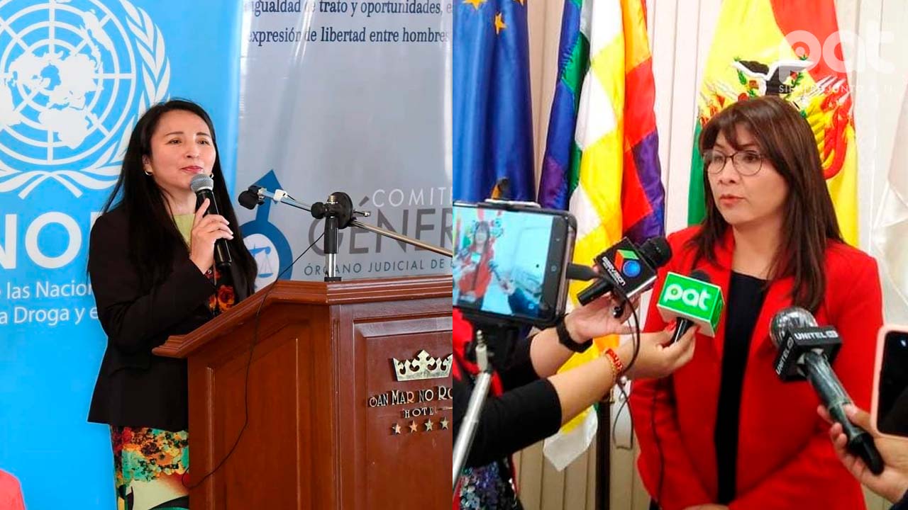 Renuncias en el Órgano Judicial: Dos magistrados abandonan el Tribunal Agroambiental