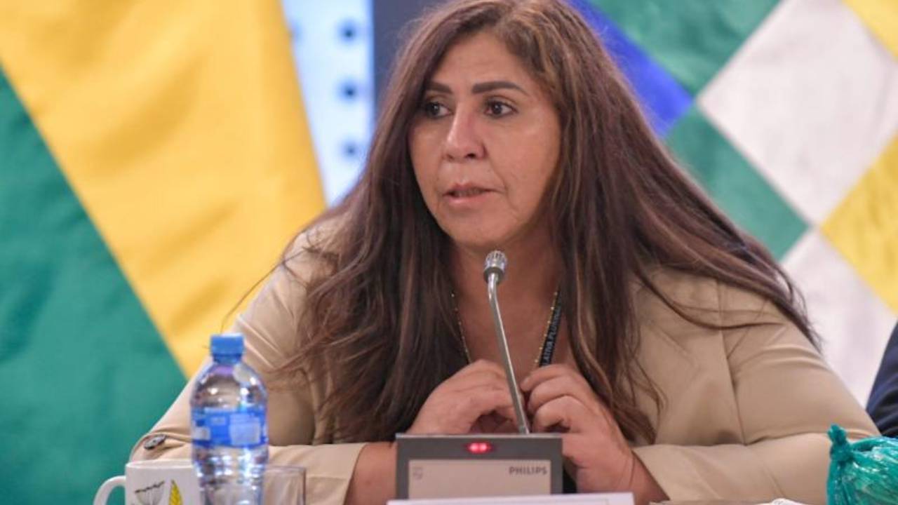  Senadora del MAS denuncia nepotismo en el Órgano Judicial