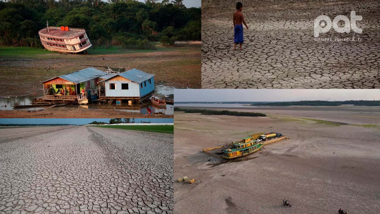 Emergencia en la Amazonía: Combustibles fósiles y deforestación desatan sequía