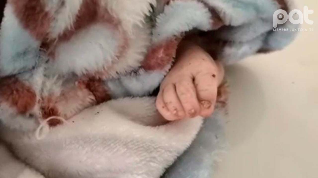 Segundo caso de infanticidio conmociona a Oruro: Bebé hallado sin vida en botadero municipal