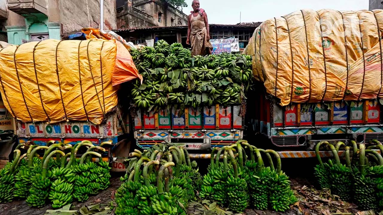 Rusia bloquea importación de bananas ecuatorianas tras disputa Militar
