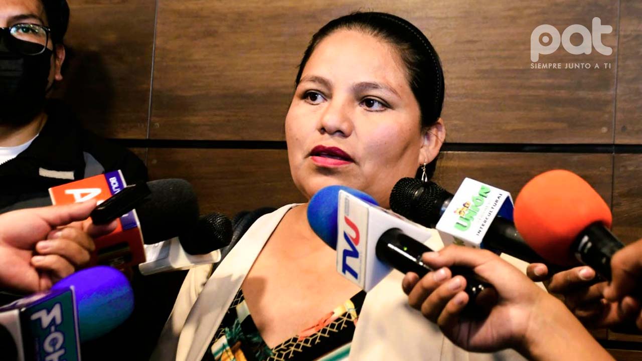Diputada Choque lamenta resultados de jornada legislativa por la no aprobación de créditos 