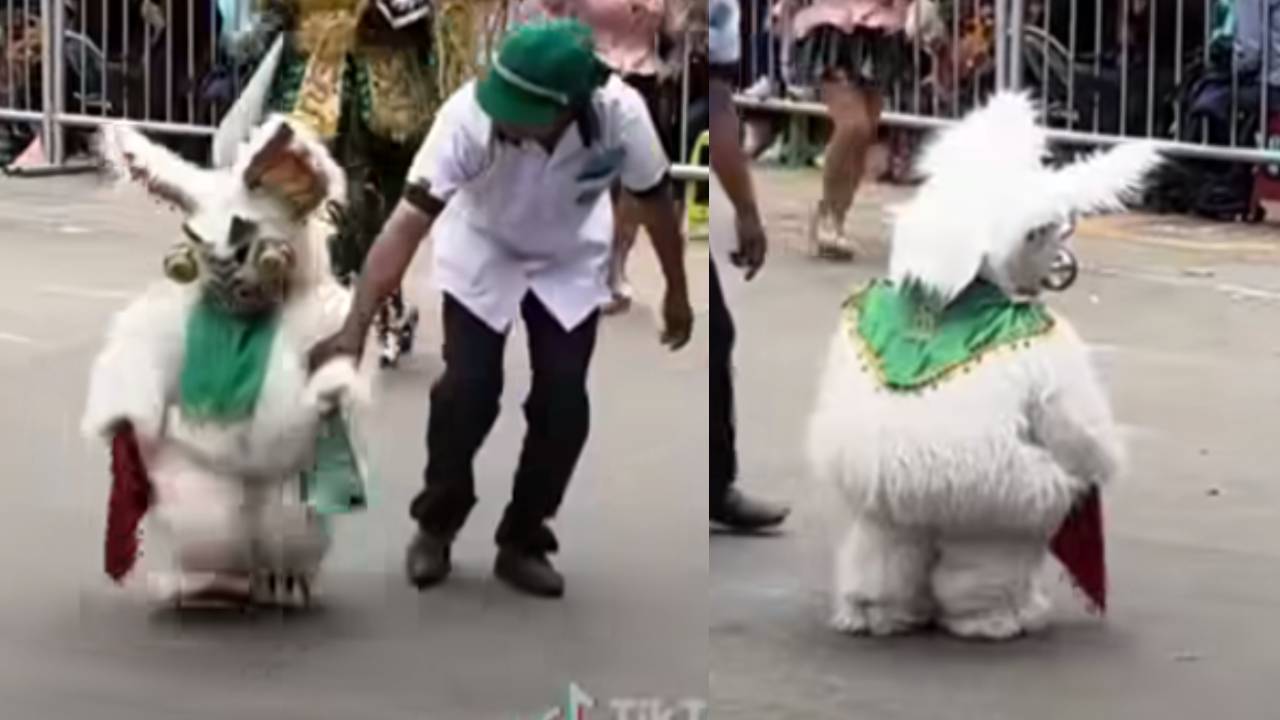 "Osito Enojón" Roba Corazones y Provoca Ternura en el Carnaval de Oruro