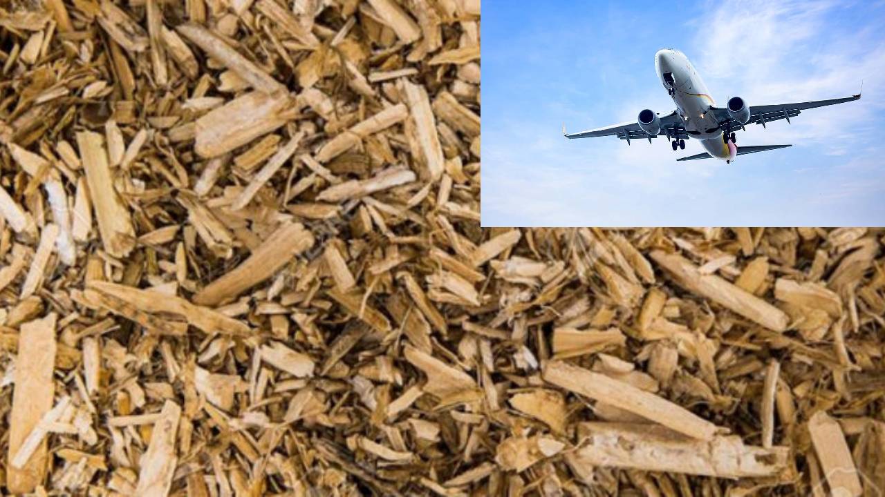 Empresa japonesa pionera en convertir residuos de madera en combustible para aviones