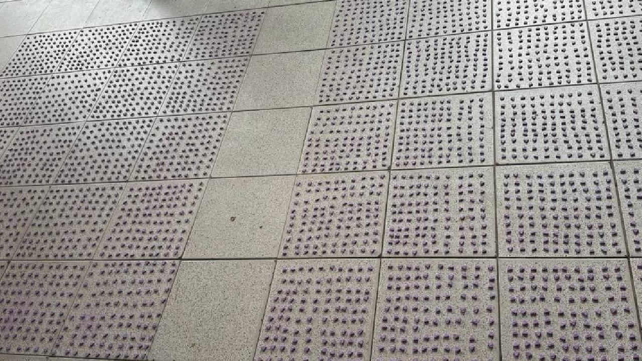 Fiscalía investiga a dos mujeres por importación de metanfetamina en Santa Cruz