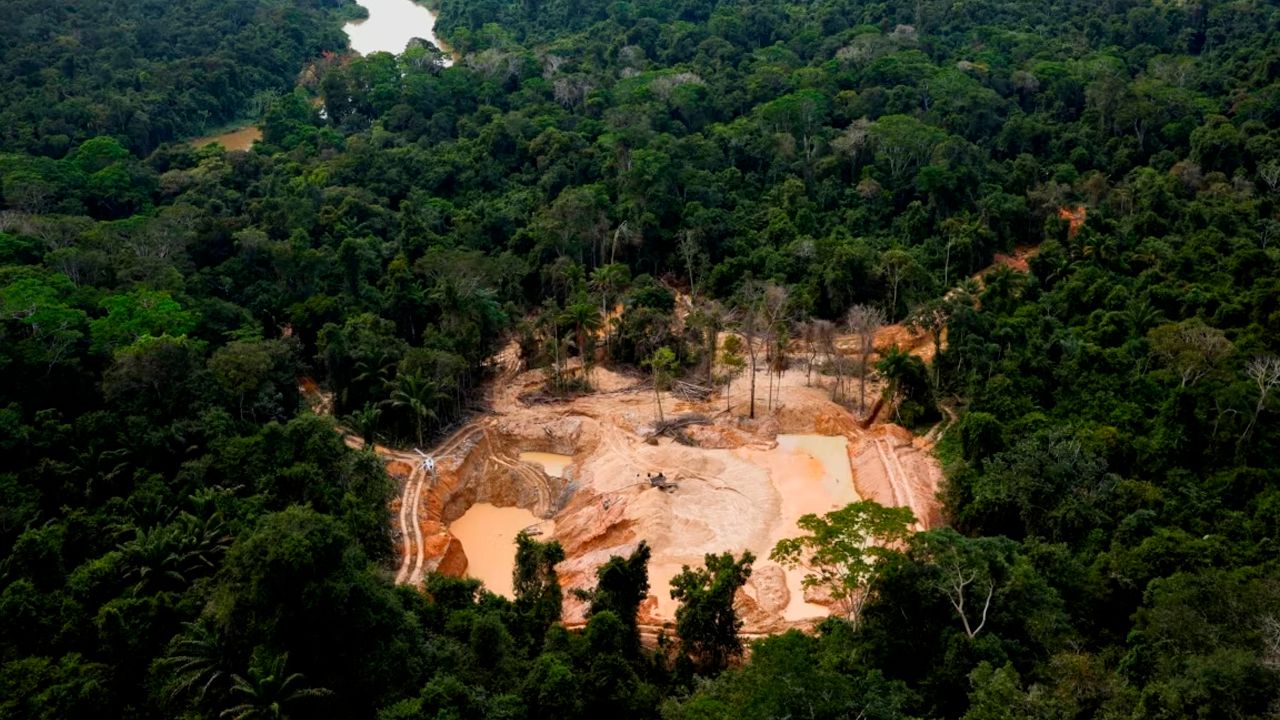 La policía brasileña mata a tiros a cuatro mineros ilegales de oro en una reserva Yanomami