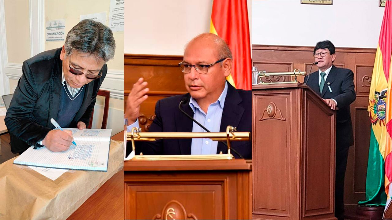 Elecciones Judiciales 2024: Perfiles de algunos postulantes
