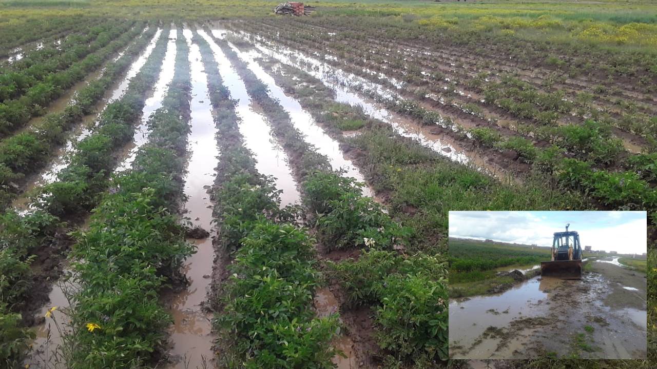 Emergencia en Amachuma fue controlada con evacuación de aguas de sembradíos